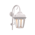 SNOC, OXFORD - WALL MOUNT DOWN WITH CANE OPEN BOTTOM MEDIUM 24893, OUTDOOR WALL LIGHTS