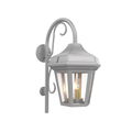 SNOC, OXFORD - WALL MOUNT DOWN WITH CANE OPEN BOTTOM MEDIUM 24893, OUTDOOR WALL LIGHTS