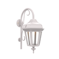 SNOC, OXFORD - WALL MOUNT DOWN WITH CANE MEDIUM CLOSED BOTTOM 24898, OUTDOOR WALL LIGHTS
