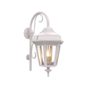 SNOC, OXFORD - WALL MOUNT DOWN WITH CANE MEDIUM CLOSED BOTTOM 24898, OUTDOOR WALL LIGHTS