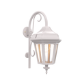 SNOC, OXFORD - WALL MOUNT DOWN WITH CANE MEDIUM CLOSED BOTTOM 24898, OUTDOOR WALL LIGHTS