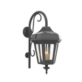 SNOC, OXFORD - WALL MOUNT DOWN WITH CANE MEDIUM CLOSED BOTTOM 24898, OUTDOOR WALL LIGHTS