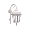 SNOC, OXFORD - WALL MOUNT DOWN WITH CANE MEDIUM CLOSED BOTTOM 24898, OUTDOOR WALL LIGHTS