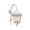SNOC, OXFORD - WALL MOUNT DOWN WITH CANE MEDIUM CLOSED BOTTOM 24898, OUTDOOR WALL LIGHTS