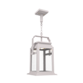 SNOC, SERIE 65E - CEILING MOUNT ON CHAIN MEDIUM FORMAT 26550, OUTDOOR CEILING LIGHT