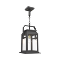 SNOC, SERIE 65E - CEILING MOUNT ON CHAIN MEDIUM FORMAT 26550, OUTDOOR CEILING LIGHT