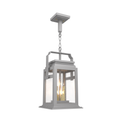 SNOC, SERIE 65E - CEILING MOUNT ON CHAIN MEDIUM FORMAT 26550, OUTDOOR CEILING LIGHT