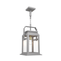 SNOC, SERIE 65E - CEILING MOUNT ON CHAIN MEDIUM FORMAT 26550, OUTDOOR CEILING LIGHT