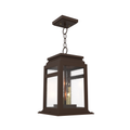 SNOC, SERIE 65E - CEILING MOUNT ON CHAIN MEDIUM FORMAT 26650, OUTDOOR CEILING LIGHT