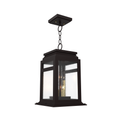SNOC, SERIE 65E - CEILING MOUNT ON CHAIN MEDIUM FORMAT 26650, OUTDOOR CEILING LIGHT