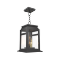 SNOC, SERIE 65E - CEILING MOUNT ON CHAIN MEDIUM FORMAT 26650, OUTDOOR CEILING LIGHT