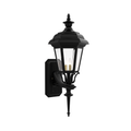 SNOC, JAMESTOWN - UP-WALL MOUNT WITH QUEEN ROD 31413, OUTDOOR WALL LIGHTS