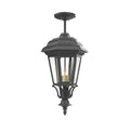 SNOC, JAMESTOWN - LARGE CLOSED BOTTOM ROD CEILING MOUNT 31457, OUTDOOR CEILING LIGHT