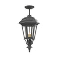 SNOC, JAMESTOWN - LARGE CLOSED BOTTOM ROD CEILING MOUNT 31457, OUTDOOR CEILING LIGHT