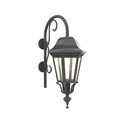 SNOC, FLORENCE - LARGE CLOSED BOTTOM CANE DOWN WALL MOUNT 33798, OUTDOOR WALL LIGHTS