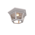 SNOC, OXFORD - LARGE CEILING LAMP 34870, OUTDOOR CEILING LIGHT