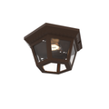SNOC, OXFORD - LARGE CEILING LAMP 34870, OUTDOOR CEILING LIGHT