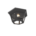 SNOC, OXFORD - LARGE CEILING LAMP 34870, OUTDOOR CEILING LIGHT