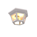 SNOC, OXFORD - LARGE CEILING LAMP 34870, OUTDOOR CEILING LIGHT