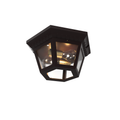 SNOC, OXFORD - LARGE CEILING LAMP 34870, OUTDOOR CEILING LIGHT