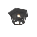 SNOC, OXFORD - LARGE CEILING LAMP 34870, OUTDOOR CEILING LIGHT