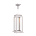 SNOC, SERIE 65E - CEILING MOUNTING ON CHAIN LARGE FORMAT 36750, OUTDOOR CEILING LIGHT