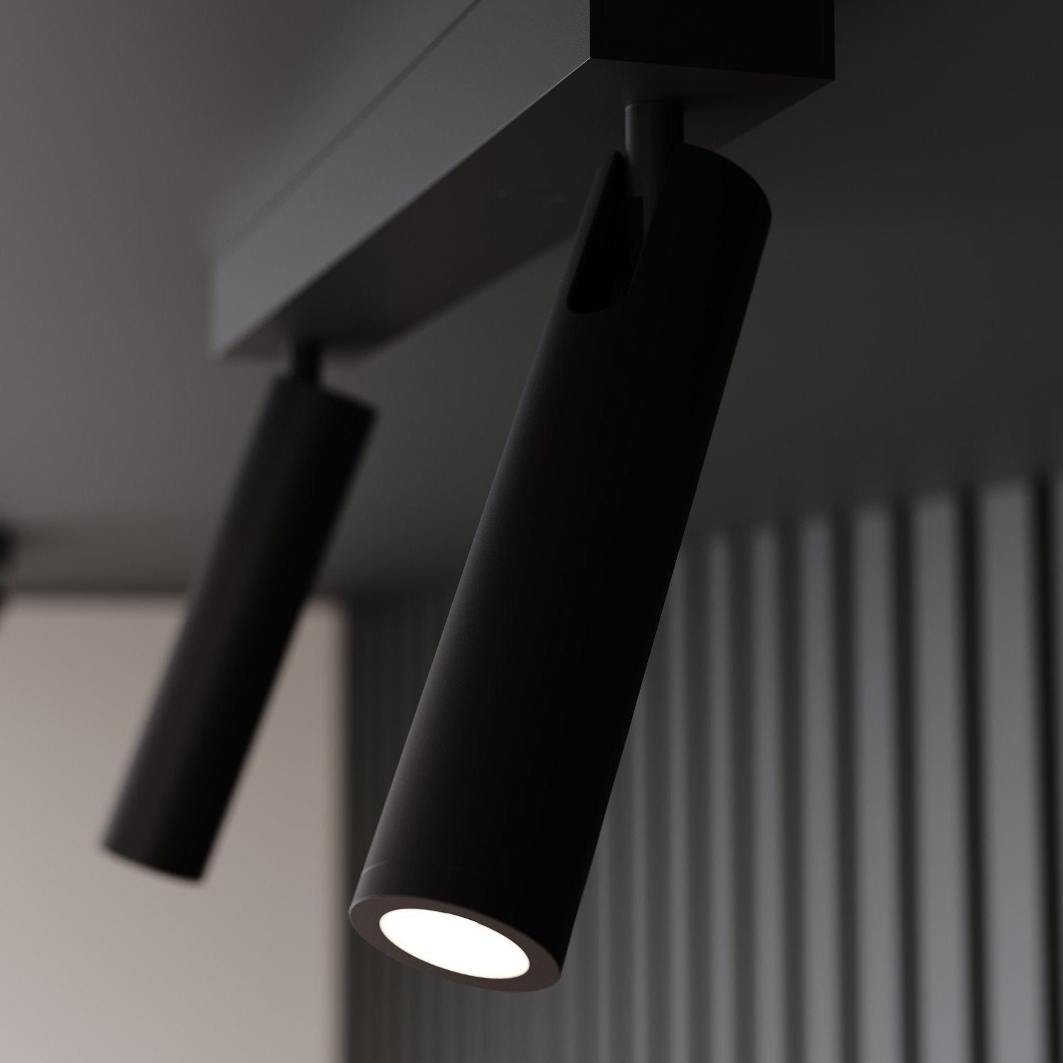 SONNEMAN, HAIM AIMABLE DOUBLE SURFACE MOUNT, SEMI FLUSH MOUNT LIGHT