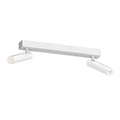 SONNEMAN, HAIM AIMABLE DOUBLE SURFACE MOUNT, SEMI FLUSH MOUNT LIGHT