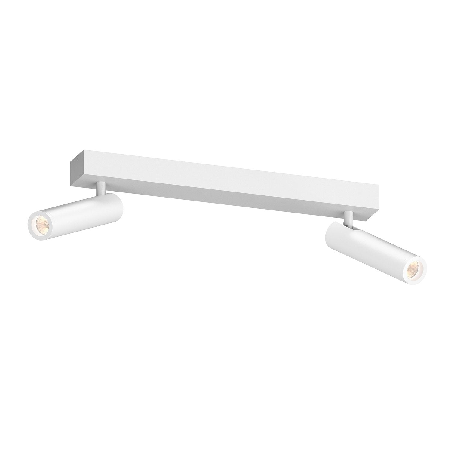 SONNEMAN, HAIM AIMABLE DOUBLE SURFACE MOUNT, SEMI FLUSH MOUNT LIGHT