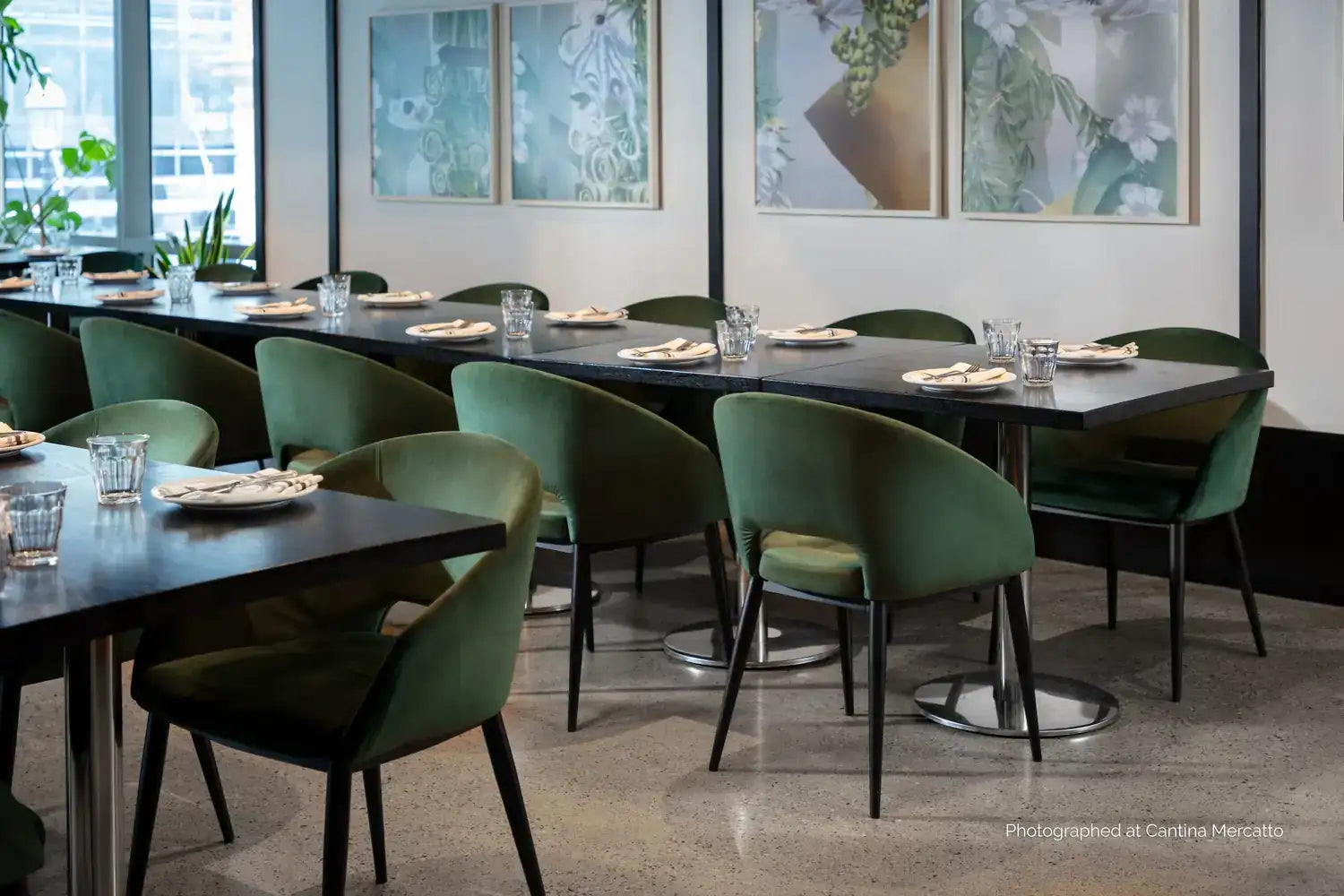 Sunpan THATCHER DINING ARMCHAIR - Dining Chairs