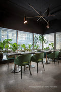 Sunpan THATCHER DINING ARMCHAIR - Dining Chairs
