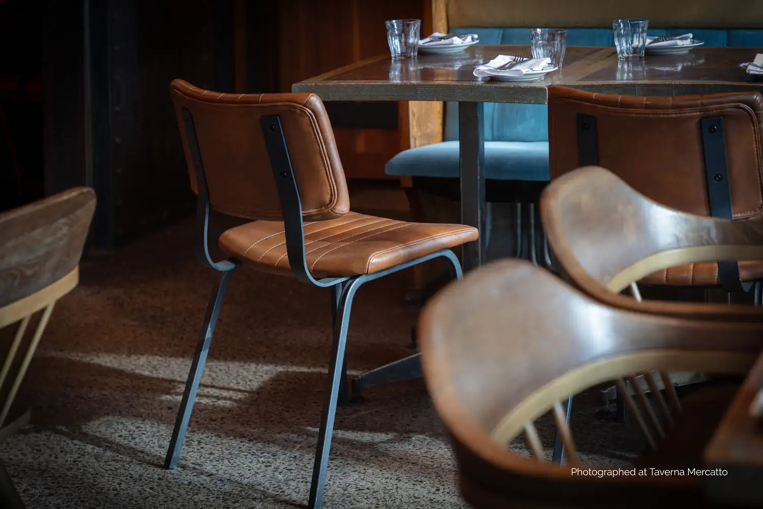 Sunpan BERKLEY DINING CHAIR - Dining Chairs
