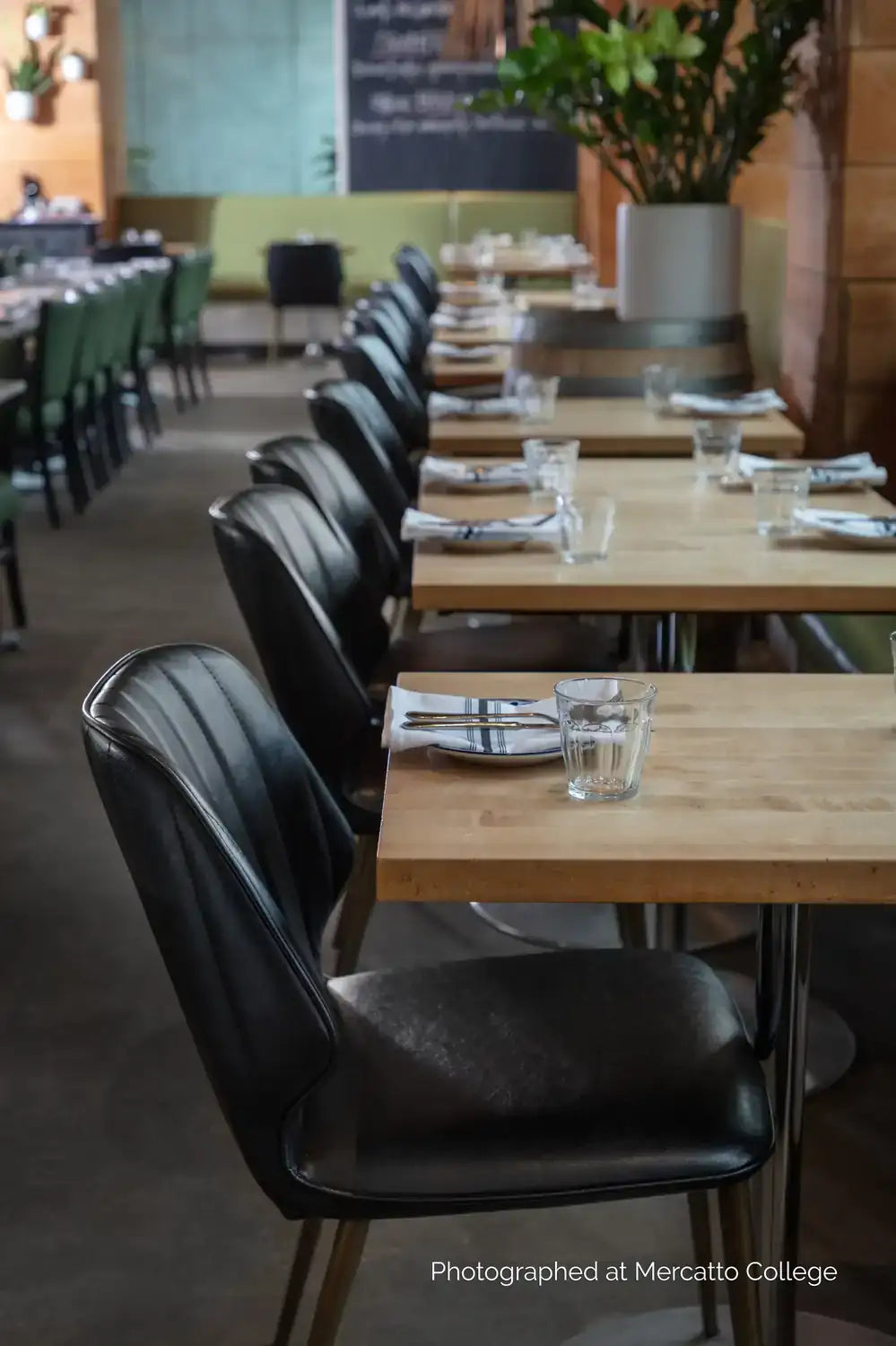 Sunpan CLINTON DINING CHAIR - Dining Chairs