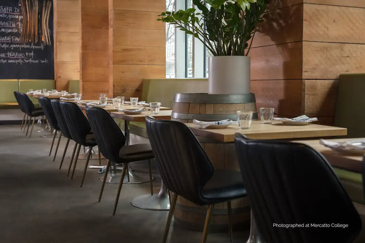 Sunpan CLINTON DINING CHAIR - Dining Chairs