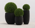 Sunpan COLEUS PLANTER - Outdoor Furniture