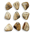 UTTERMOST Pebbles Wall Décor Set Of 9 - Art