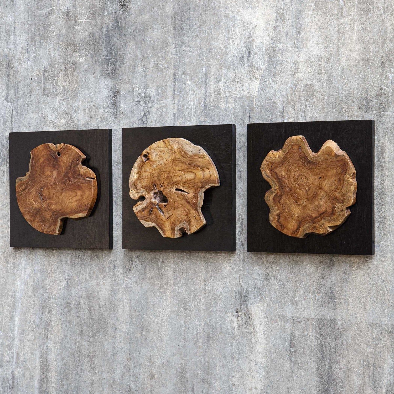 UTTERMOST Kolini Wall Decor Set Of 3 - Art