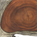 UTTERMOST Jungle Paneled Wall Art Set Of 9 - Art