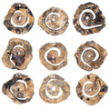 UTTERMOST CORKSCREW WALL DECOR - Art