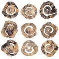 UTTERMOST CORKSCREW WALL DECOR - Art