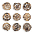UTTERMOST Corkscrew Wall Decor Set Of 9 - Art