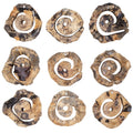 UTTERMOST Corkscrew Wall Decor Set Of 9 - Art