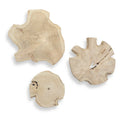 UTTERMOST KALANI OUTDOOR WALL ART - Art