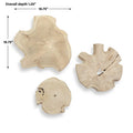 UTTERMOST Kalani Outdoor Wall Art Set Of 3 - Art