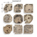 UTTERMOST Bahati Bleached Wall Decor Set Of 9 - Decorative Accents