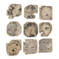 UTTERMOST BAHATI BLEACHED WALL DECOR - Decorative Accents