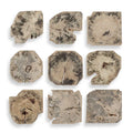 UTTERMOST Bahati Bleached Wall Decor Set Of 9 - Decorative Accents