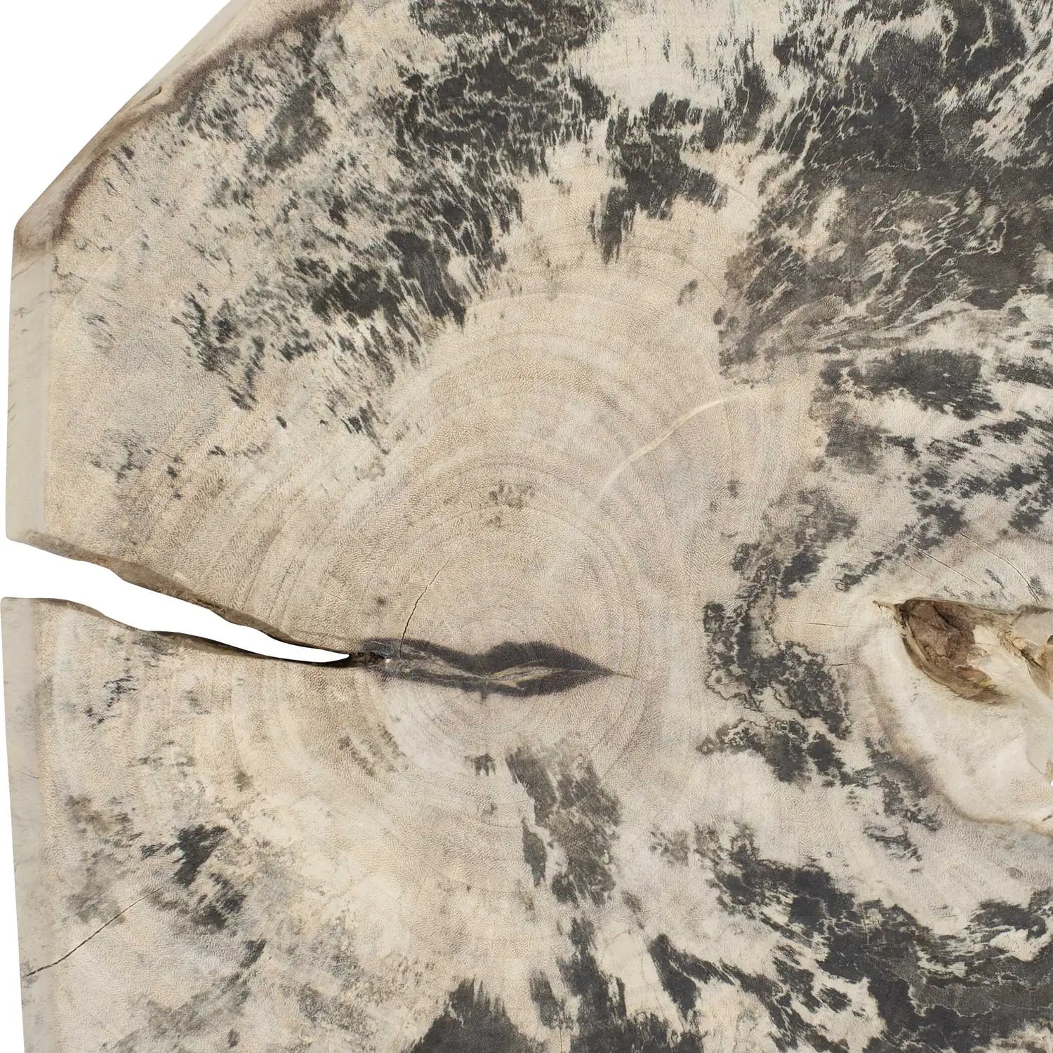 UTTERMOST Bahati Bleached Wall Decor Set Of 9 - Decorative Accents