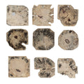 UTTERMOST BAHATI BLEACHED WALL DECOR - Decorative Accents