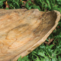 UTTERMOST LEAF BOWL - Decorative Accents
